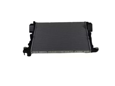 Mopar 68481174AB Radiator-Engine Cooling
