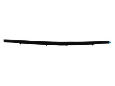 2004 Dodge Dakota Weather Strip - 55257239AE