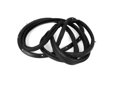 Chrysler 300 Weather Strip - 68039974AG