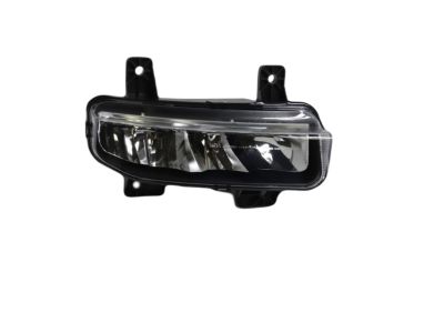 Ram 1500 Fog Light - 68477196AA