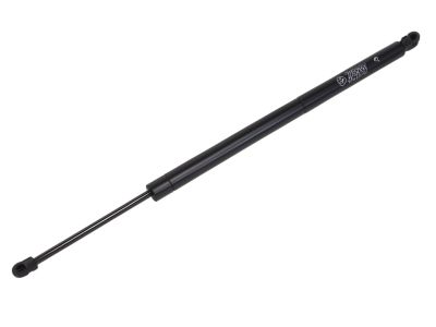 Dodge Grand Caravan Lift Support - 4589654AC