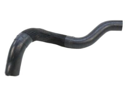 2001 Jeep Grand Cherokee Radiator Hose - 52079401AB