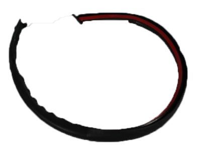 2000 Jeep Wrangler Weather Strip - 55175042