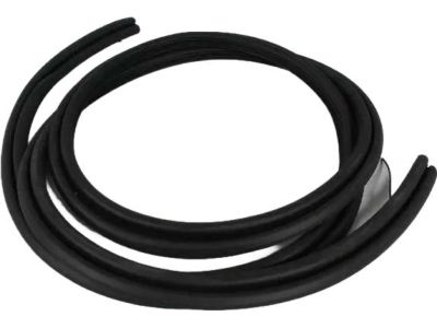 2010 Chrysler PT Cruiser Weather Strip - 4724763AF