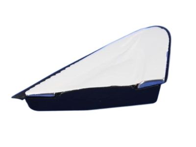 Chrysler 200 Mirror Cover - 5NJ501XFAB