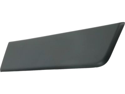 Mopar 1ZT33LAHAA Molding-Door Outside