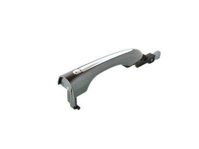 Mopar 5RR31LAUAD Handle-Exterior Door 5RR31LAUAD Mopar Handle-Exterior Door Product Photo 1 of 3