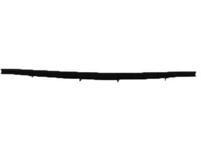 2001 Dodge Durango Weather Strip - 55257239AC