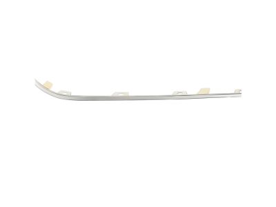 Chrysler 4805987AA