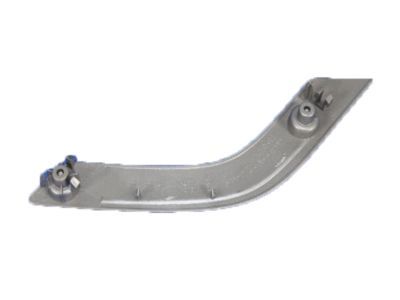 Mopar 1RE67JSLAE Bezel-Grab Handle