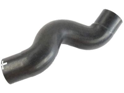 Jeep Liberty Radiator Hose - 55037912AA