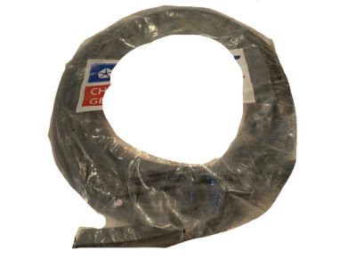 1991 Chrysler LeBaron Door Seal - 4520967
