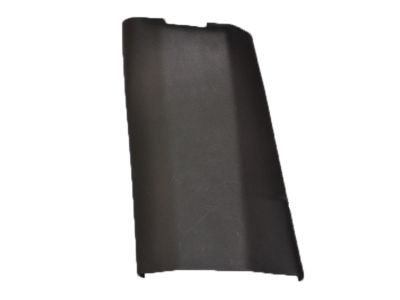 Mopar 5SZ61DX9AA Molding-B Pillar