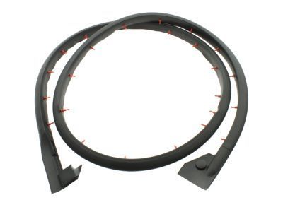 Dodge Ram Wagon Weather Strip - 55359203AB