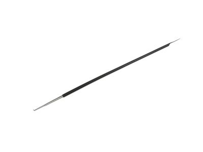 Dodge Grand Caravan Weather Strip - 5109812AD