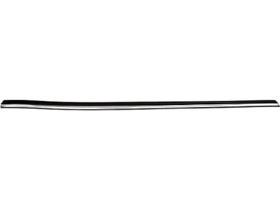1997 Dodge Ram 1500 Door Moldings - 55274895