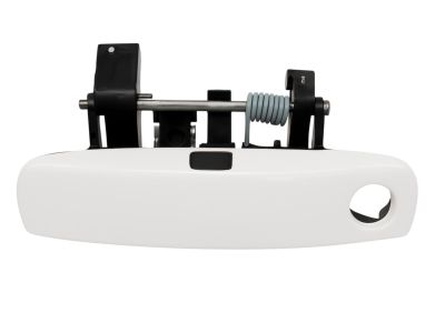 2012 Dodge Charger Door Handle - 1MZ85GW7AF