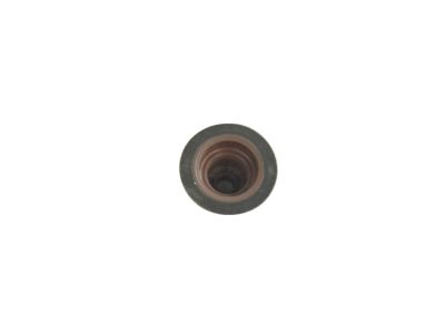 Ram 68295813AA