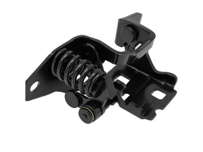 Mopar 5115712AI Hinge-Lower Door