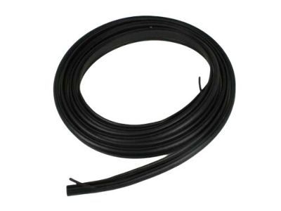 Ram Weather Strip - 5054274AE