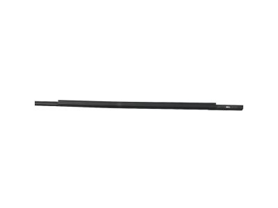 Mopar 68142974AD WEATHERSTRIP-Door Belt Outer