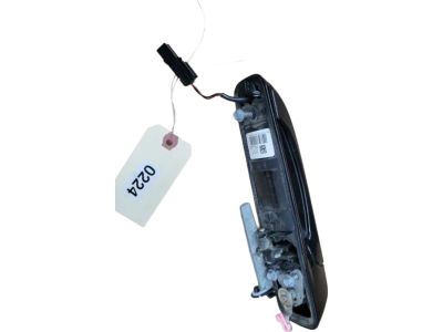 2020 Ram 2500 Door Handle - 1UJ81KXJAI
