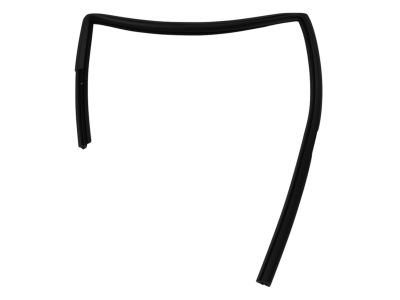 Mopar 5074019AG WEATHERSTRIP-Rear Door Flush Glass