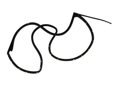 Mopar 55399186AC WEATHERSTRIP-Rear Door Opening