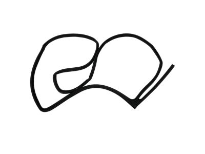 Mopar 55399186AC WEATHERSTRIP-Rear Door Opening