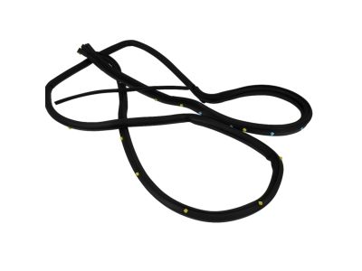 2011 Dodge Durango Weather Strip - 55399186AC