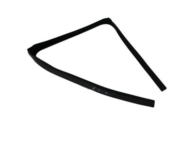 Mopar 55372137AG Seal-Rear Door