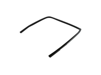 Mopar 55372137AG Seal-Rear Door