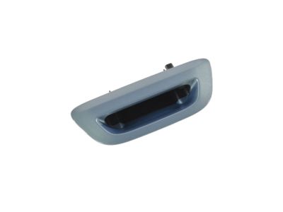 Chrysler Pacifica Tailgate Handle - 5RP06PQAAA