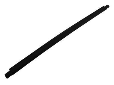 2005 Dodge Durango Weather Strip - 55362094AD