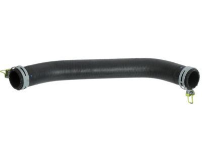 Dodge Durango Radiator Hose - 55038022AB