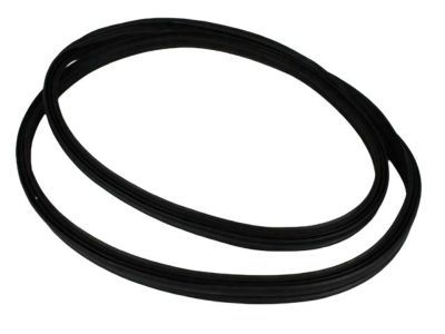 Jeep Grand Cherokee Weather Strip - 55399229AF