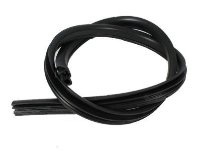 Chrysler Sebring Weather Strip - 5074310AA