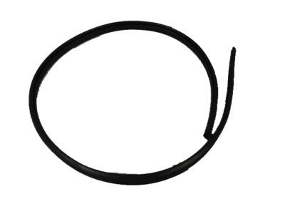 Mopar 5074310AA WEATHERSTRIP-Front Door Secondary