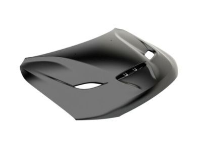 Mopar 68309501AG Hood Panel