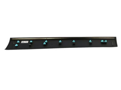 Mopar 6VX67RXFAC MOLDING-FRONT DOOR