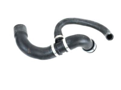 Mopar 68025109AA Hose-Radiator