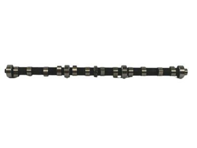 Mopar Camshaft - 53010448AA