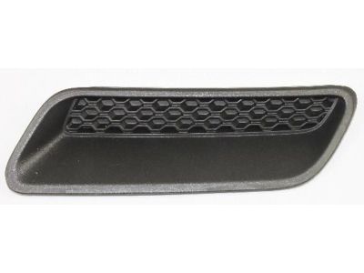 Mopar 68324991AA Bezel-Hood