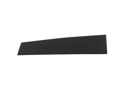 Mopar 57010444AB APPLIQUE-Front Door