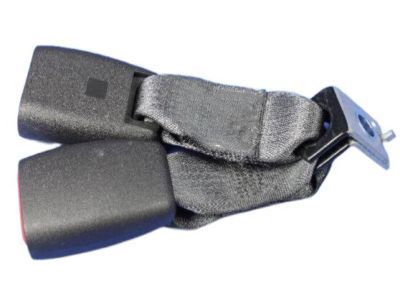 Mopar 5HP171DVAB Two Buckles Seat Belt