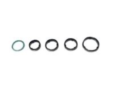 Mopar 68125146AA ORING Kit