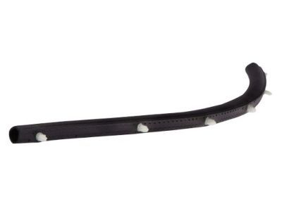 2017 Dodge Charger Weather Strip - 68040043AB