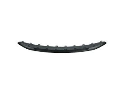 Mopar 68322466AA Rub Strip-Front Splitter