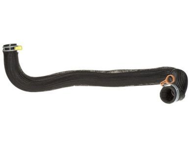 2013 Dodge Challenger Radiator Hose - 4598096AG