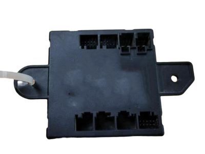 Mopar 68225100AA Module-Door